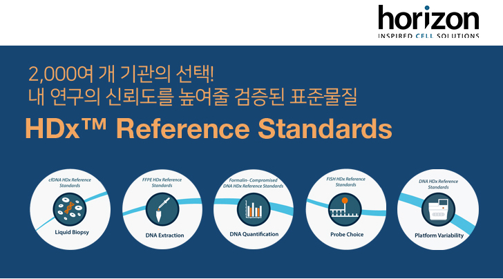 비엠에스