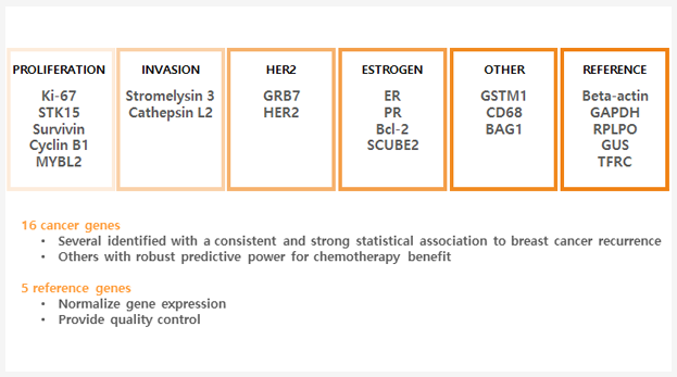 oncotypedx_02.png