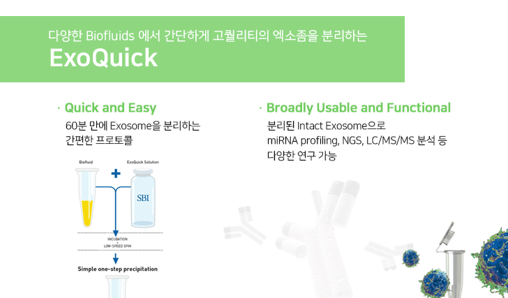 비엠에스