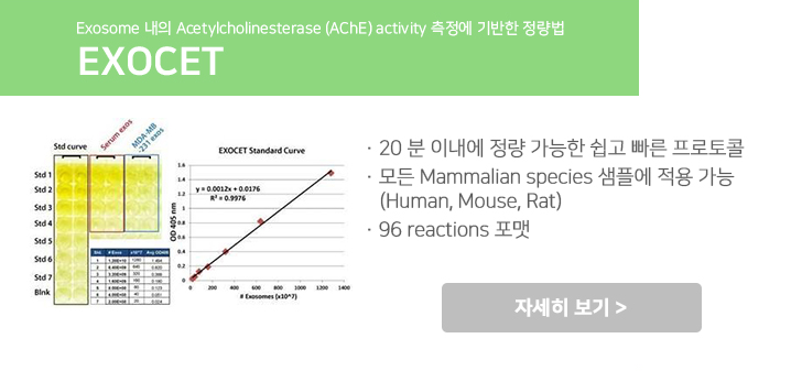 비엠에스