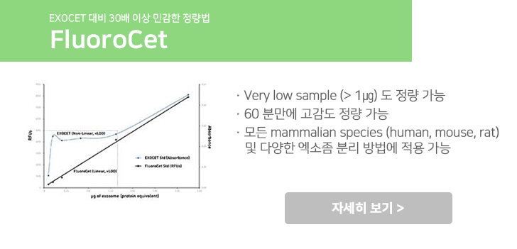 비엠에스