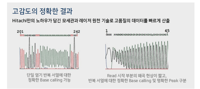 비엠에스