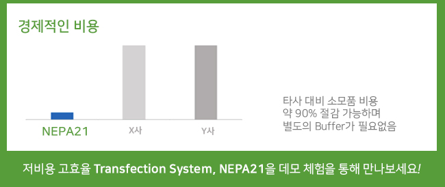 비엠에스