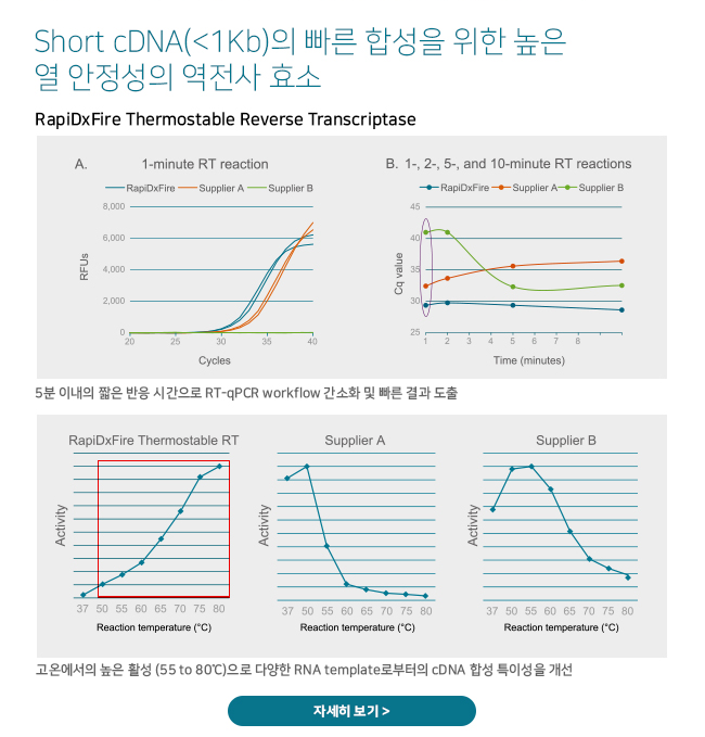 비엠에스