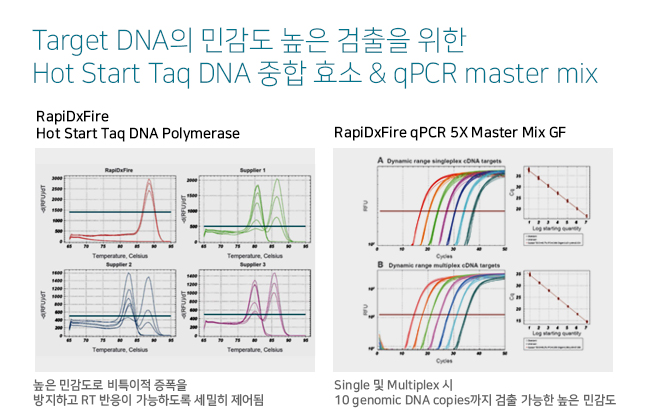 비엠에스