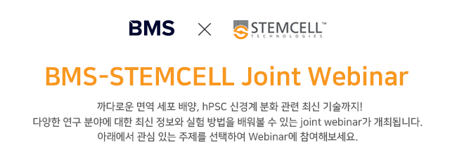 비엠에스