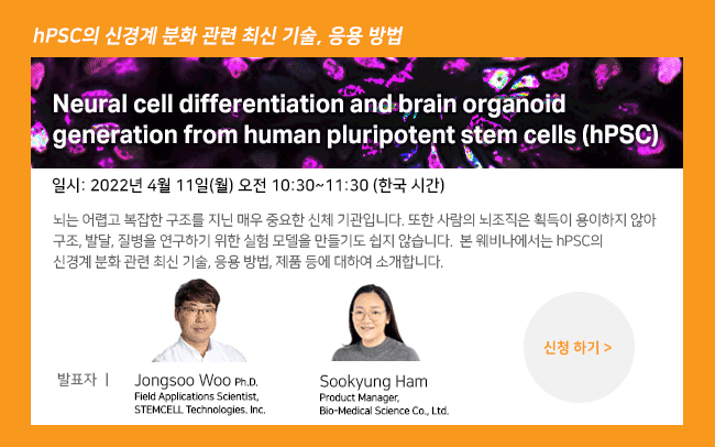 비엠에스