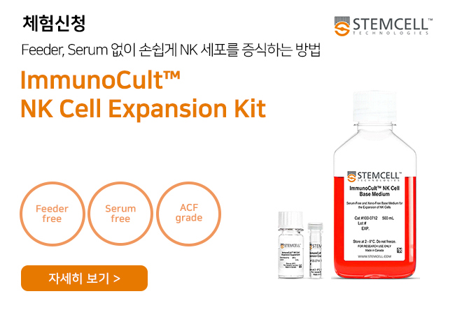 비엠에스