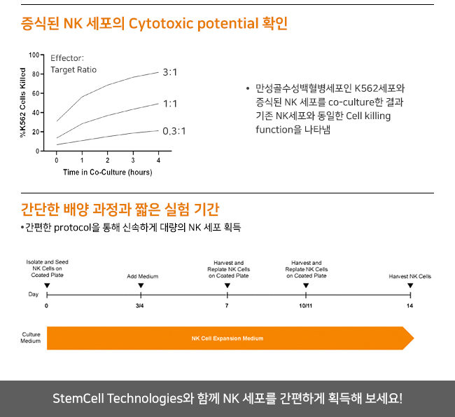 비엠에스