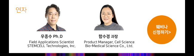 비엠에스