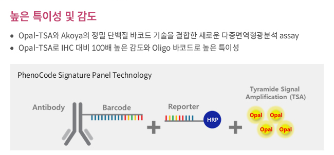 비엠에스