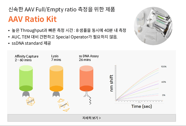 비엠에스