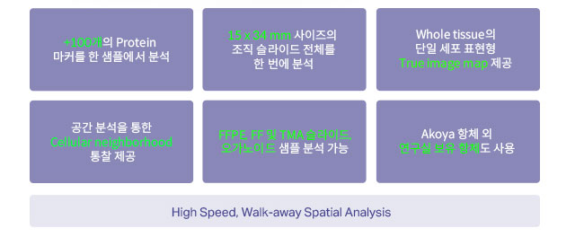 비엠에스