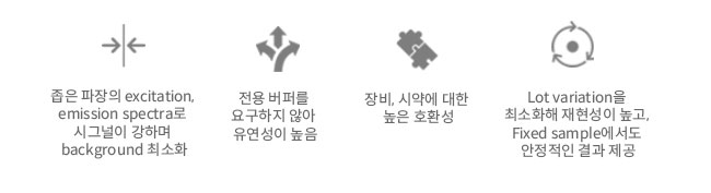 비엠에스