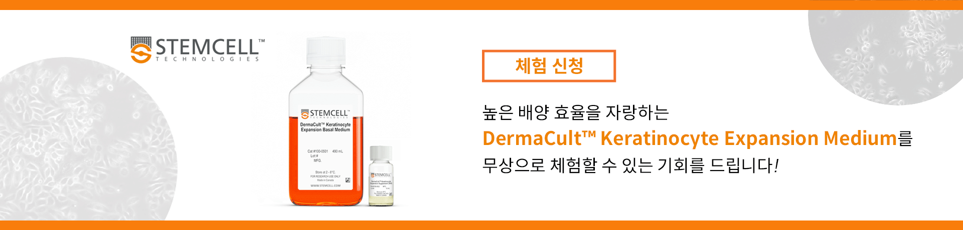 메인 비주얼9