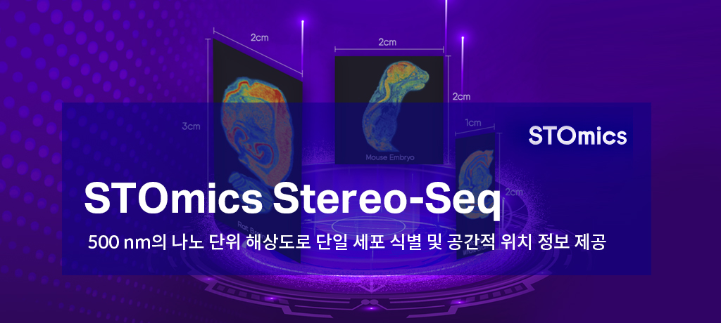 모바일 메인 비주얼11