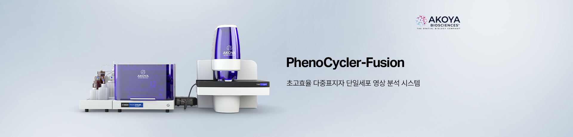 메인 비주얼3