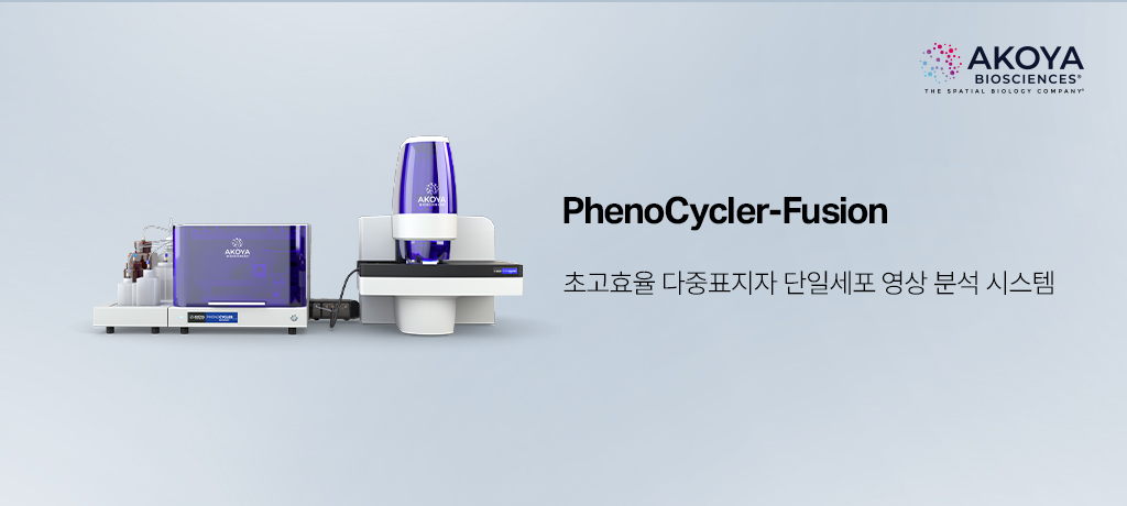 모바일 메인 비주얼3