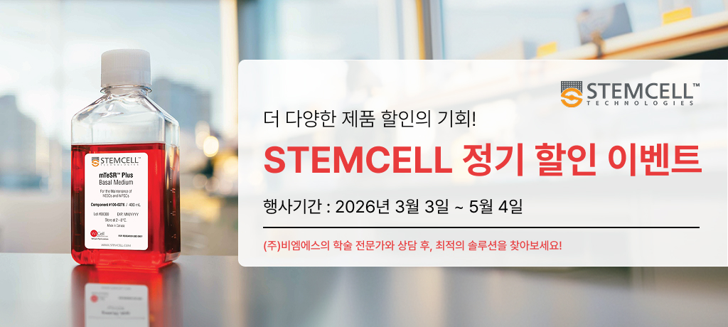 모바일 메인 비주얼2