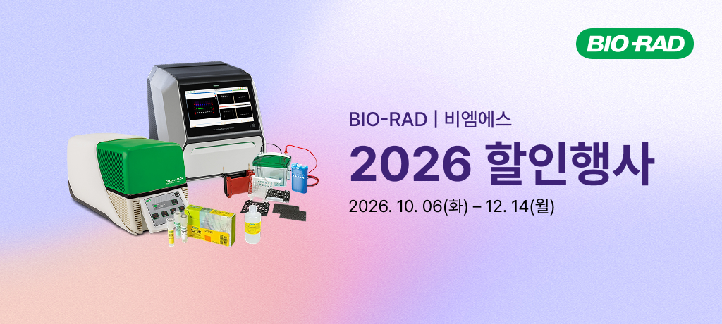 모바일 메인 비주얼3