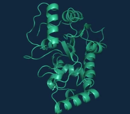 [샘플신청] 단백질 정제 공정의 새로운 기준! 핵산 제거를 위한 SAN (Salt Active Nuclease)