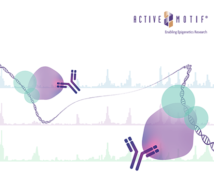내 연구 목적에 맞는 Chromatin Profiling 분석법은? 지금 확인해 보세요.