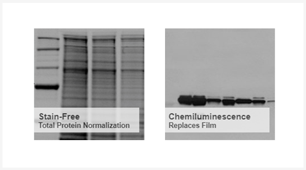2019-11-18 All-in-one flexible imaging.png