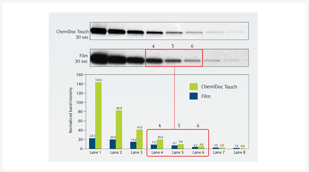 2019-11-18 chemidoc vs film.png