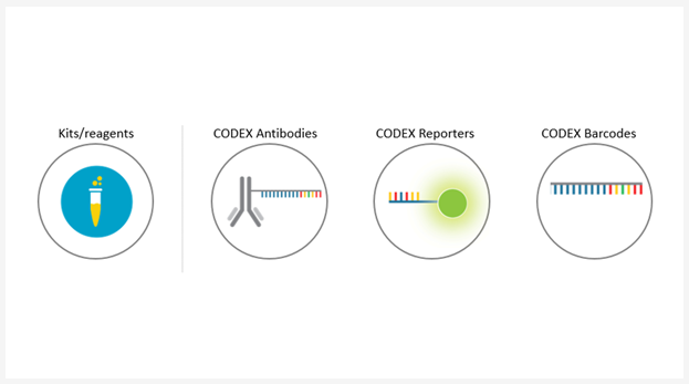 reagents.png
