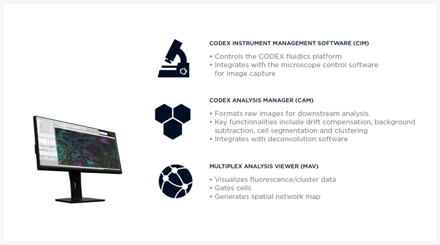 software.png