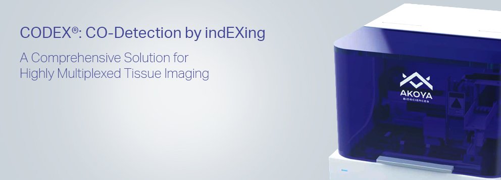 BMS_CODEX_BANNER.jpg