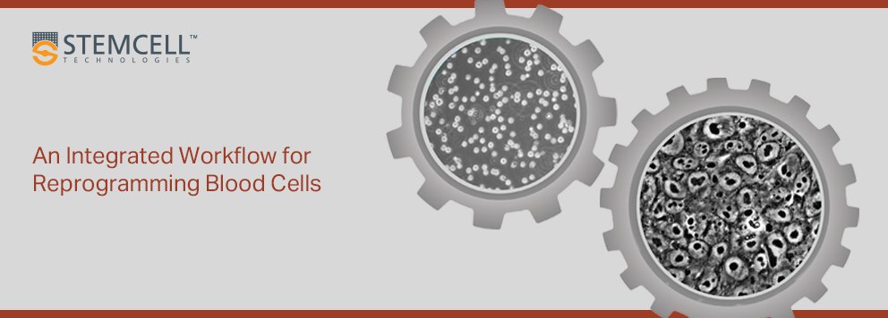 stemcell_.jpg